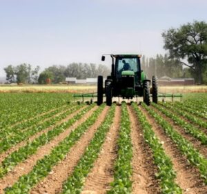 Agricoltura, Ravetti: “La Regione si attivi a tutela delle imprese alessandrine”