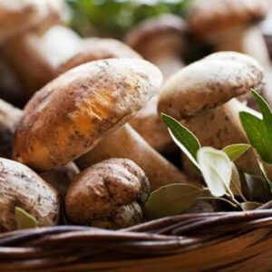 Sagra del Fungo: secondo week end di gusto nelle frazioni