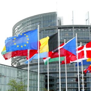 Elezioni europee: nel nord-ovest la Lega supera il 40%