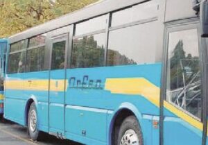 Arfea, l’azienda pronta a trovare soluzioni