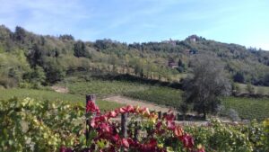 “Luoghi del Cuore” Fai: volano Acqui e l’Acquese