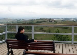 ‘Camminata d’autunno’ tra i vigneti alicesi