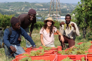 Le aziende agricole sociali si lanciano nell’e-commerce