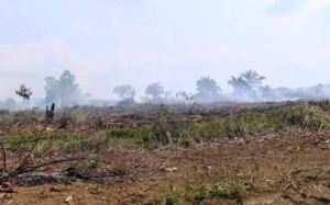 Al salone San Guido serata-dibattito sul dramma dell’Amazzonia