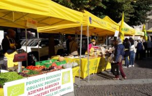 L’ex sindaco: «Agevolazioni al commercio, niente tassa sui mercati»