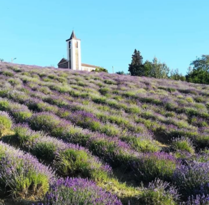 Un nuovo sentiero a Castelletto: dalla Torre a San Secondo