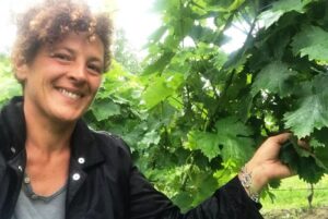 Moscato e Brachetto, troppo invenduto, giù le rese?