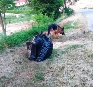 Ancora troppi rifiuti abbandonati nell’Acquese