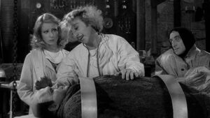 Cinema all’aperto con Frankenstein Junior