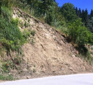 Sulla Provinciale 210 passano tutti…tranne i bus