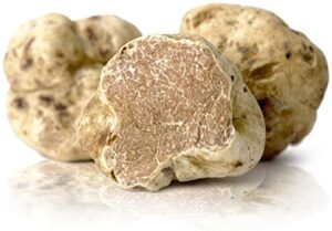 Tartufo bianco: convenzione territoriale per la sua tracciabilità