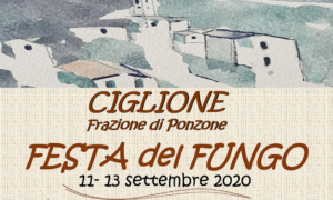 A Ciglione il weekend  ha più gusto con la “Festa del fungo”