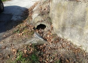 Vallegra: «Via alle pulizie di ripe, fossi e canali»