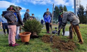 Il dono di genitori e scout: nove pini mettono radici a Mombarone