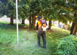 Verde pubblico: via ai lavori di sfalcio e manutenzione