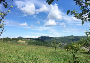 Alla scoperta del Monferrato