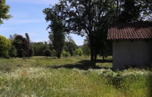Lega: “Il Golf Club non è un parco”