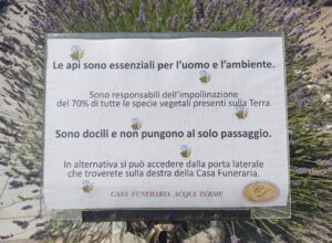 Ad Acqui onoranze funebri alleate delle api