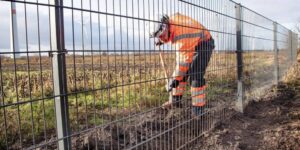 Peste suina africana: inizia oggi la posa della rete di contenimento