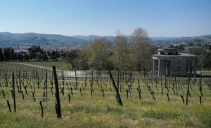 ‘Città del Vino’: Acqui accolta nell’associazione nazionale