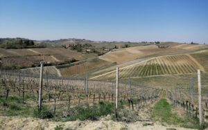Al Ma Ré della cantina Marenco la corona di ‘Vinobuono d’Italia’