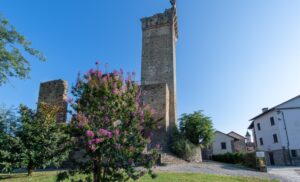 La Rocca candidata a Luogo del Cuore: “Area da valorizzare”