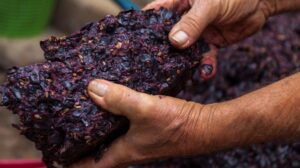 Con Alerasia i cosmetici si fanno con le vinacce del Barbera