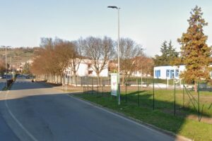 ‘Giornata degli alberi’: gli studenti aggiungono del verde in città
