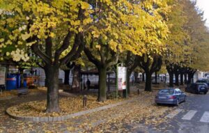 Giardini di corso Dante: al via i lavori di riqualificazione