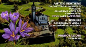 Domenica camminata al Santuario della Pieve “a base” di zafferano