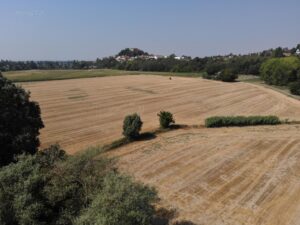 “L’Alessandrino è in piena crisi idrica”
