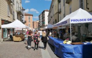 Fondi Pro loco: a Visone la tendostruttura, a Cartosio la balconata