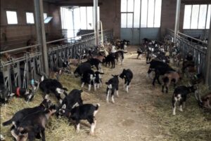 Consorzio Roccaverano: “Siccità? Sediamoci a un tavolo e parliamone”