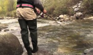 Pesca sportiva, De Angelis: “Proseguire sulla strada tracciata”