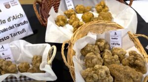Acqui & Sapori, tutto pronto per la due giorni dedicata al tartufo
