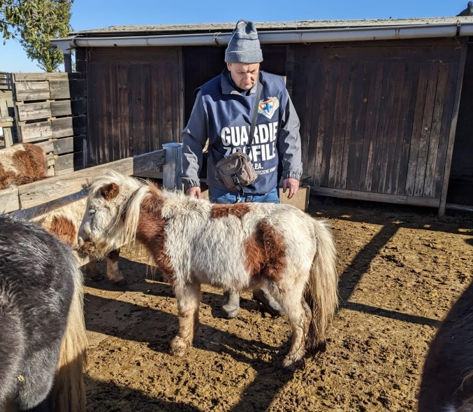 Sequestri in fattoria didattica: esposto da Assofido-Codacons