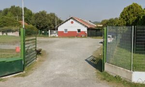 Donazione testamentaria di 3mila euro al Canile Comunale