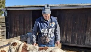 Sequestri in fattoria didattica: esposto da Assofido-Codacons
