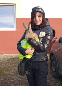 Guardie zoofile Oipa: sequestrati cani denutriti e senza vaccini