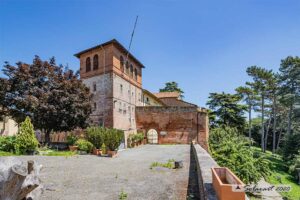 Pasqua alternativa al Museo di Acqui, con la mostra e il Birdgarden