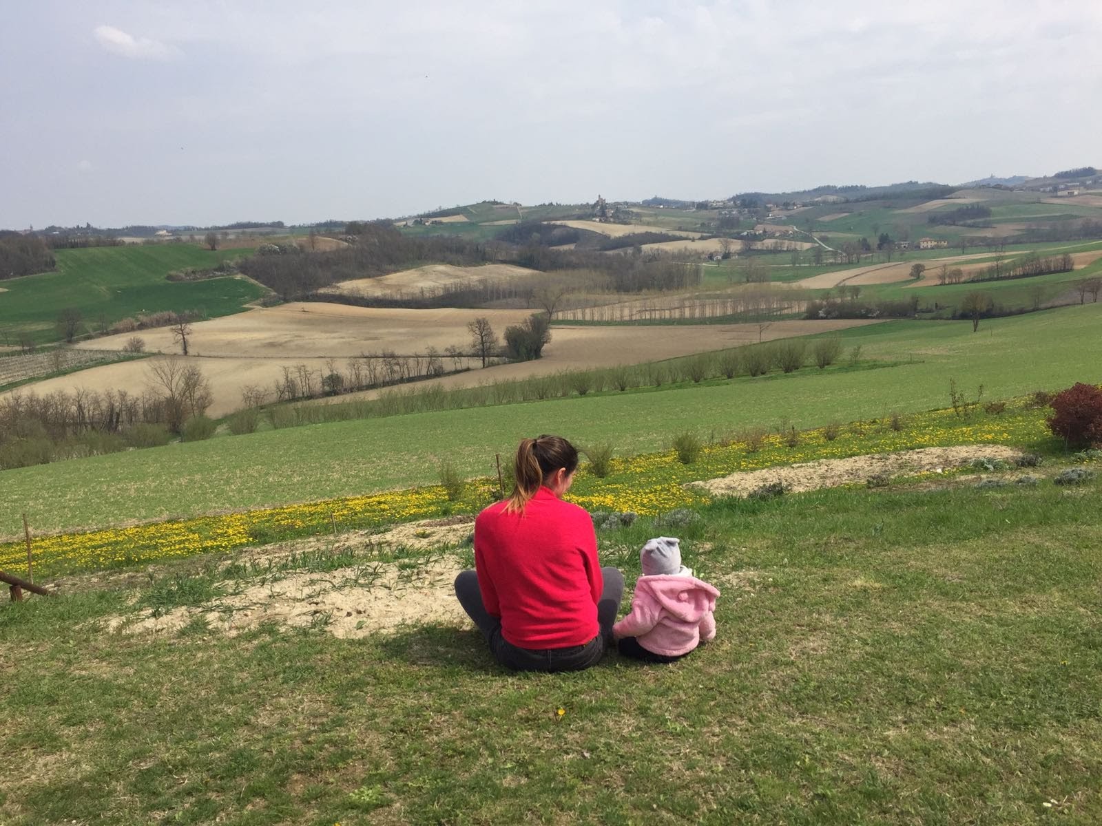 Alfiano Natta: tanti Comuni uniti contro il fotovoltaico