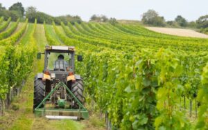 Agricoltura integrata: altri 30 milioni per chi è rimasto indietro