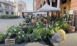 Torna FlorAcqui: in centro più di quaranta stand per pollici verdi