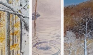 A Palazzo Chiabrera la mostra sulla poetica degli alberi