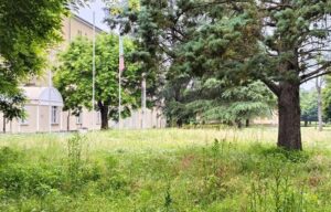 Erba alta alle Terme: “Convenzione sugli sfalci da ridiscutere”