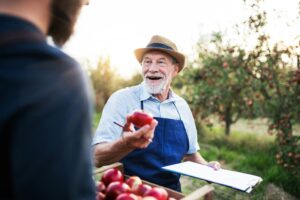 Vendemmia delle mele: qualità in aumento nonostante il meteo