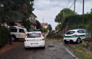 Maltempo: piante e palo per telecomunicazioni caduti a Moirano