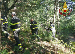 Tragedia nei boschi: cade mentre cerca i funghi, muore 60enne