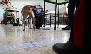 Acqui, controlli coi cani antidroga all’Istituto Levi Montalcini