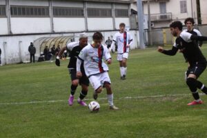 Alessandria, tutto il calcio della provincia in tempo reale